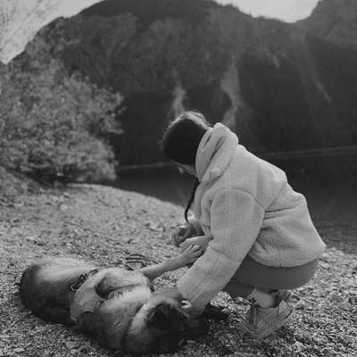 Hundetreffen-Hundebegegnung üben & wenn es harmoniert gerne auch mit Freilauf-Bild