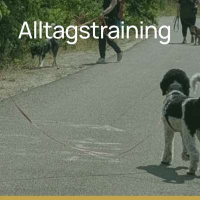 %{de_profession_title}-Alltagstraining-Bild