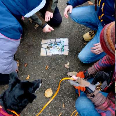 %{de_profession_title}-Abenteuer und Events-Bild