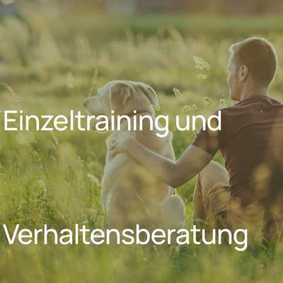 %{de_profession_title}-Einzeltraining/Verhaltensberatung-Bild