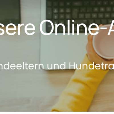 %{de_profession_title}-Online-Angebote-Bild