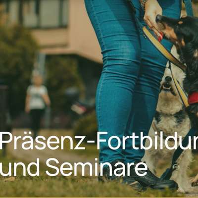 %{de_profession_title}-Fortbildungen und Seminare-Bild