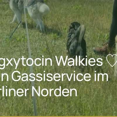 %{de_profession_title}-Gassiservice-Bild