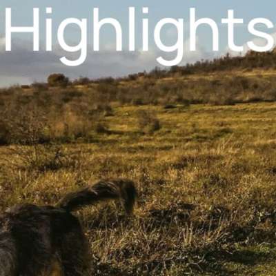 %{de_profession_title}-Unsere Kurs-Highlights 2026-Bild