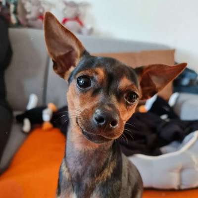 Handy-foto Challange nr. 11-Beitrag-Bild