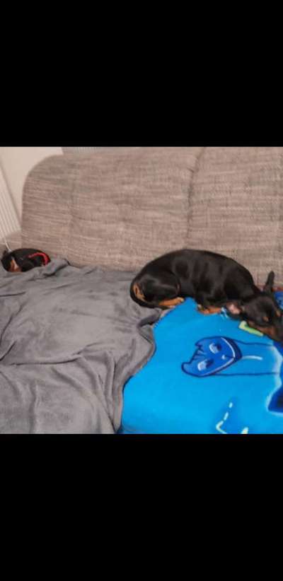 Fotochallenge 88-Beitrag-Bild