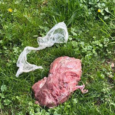 Giftköder-Möglicher Giftköder!-Bild