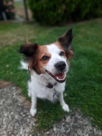 Handy-Foto Challange Nr. 10-Beitrag-Bild