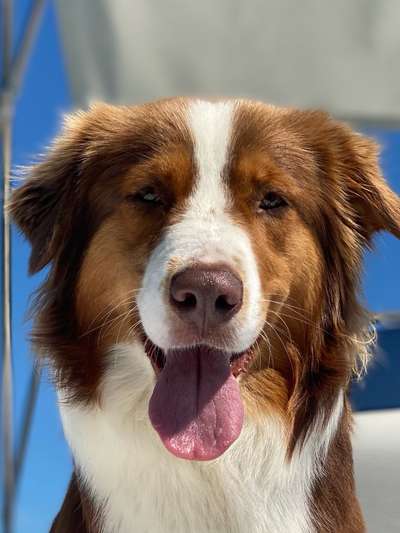 Fotochallange Nr. 57     PORTRÄT.   Beendet!!!!!!!!-Beitrag-Bild