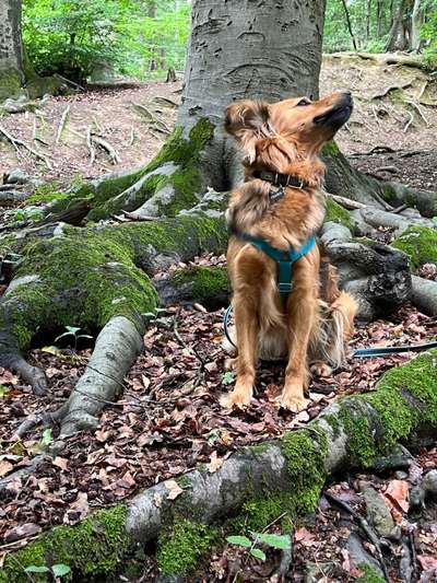 Fotowettbewerb Natur-Beitrag-Bild