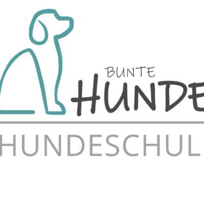 Hundeschulen-Bunte Hunde Falkensee-Bild