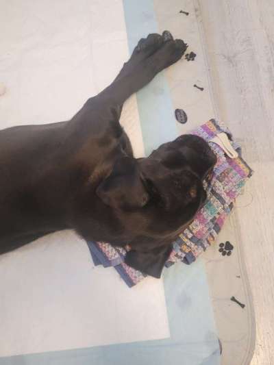 Das Allein bleiben.Urlaub, Zuhause?-Beitrag-Bild