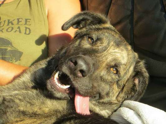 Immer lächeln !-Beitrag-Bild