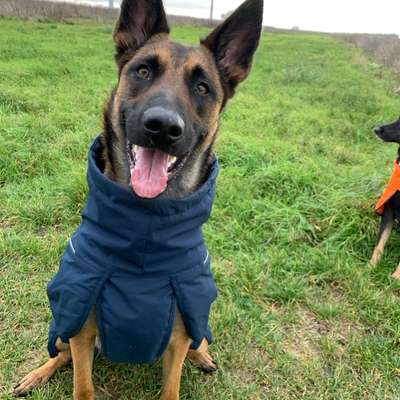 Welche Mäntel empfehlt ihr?-Beitrag-Bild