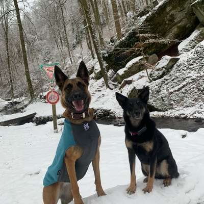 Welche Mäntel empfehlt ihr?-Beitrag-Bild