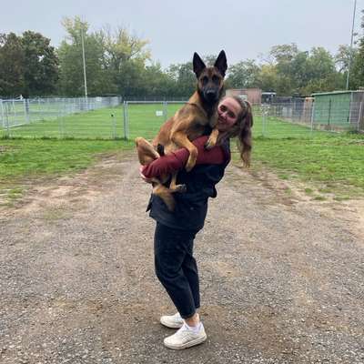 Hundetreffen-Trainingspartner Unterordnung-Bild