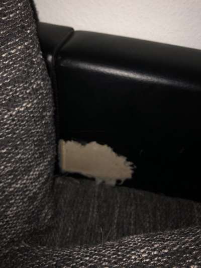 Zeig mir, dass du mit einem hund zusammenlebst....-Beitrag-Bild