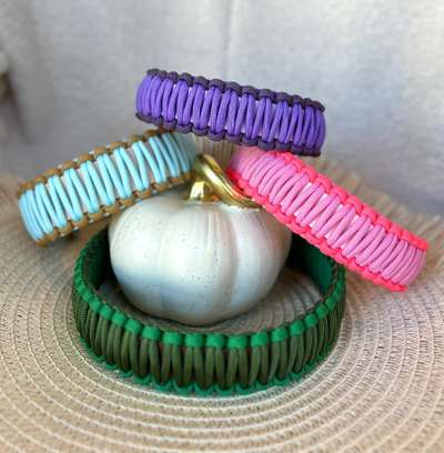 %{de_profession_title}-Biothane x Paracord Halsband-Bild