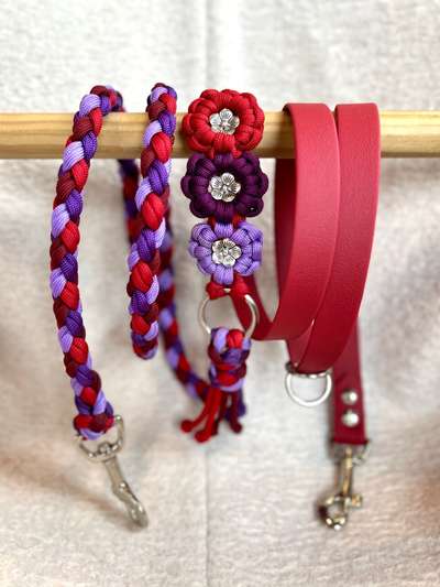 %{de_profession_title}-Paracord x Biothane Leine personalisiert-Bild