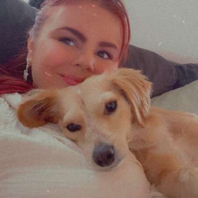 Hundetreffen-Welpen anschauen