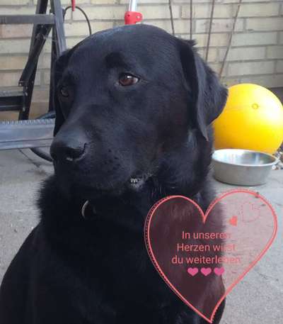 Unsere Sternchen ******-Beitrag-Bild