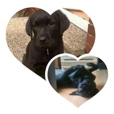 Vorher.... Nachher-Beitrag-Bild