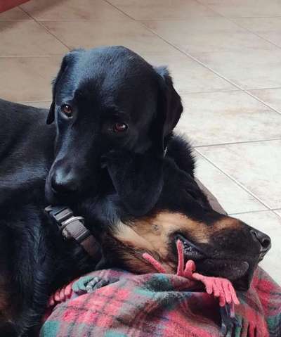 Challenge 30  Freundschaft-Beitrag-Bild