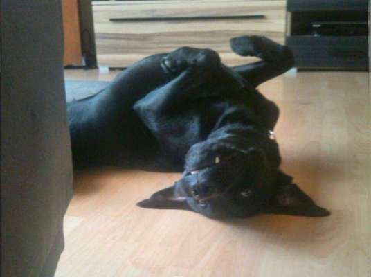 Unsere Sternchen ******-Beitrag-Bild