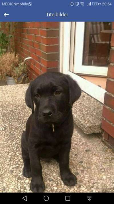 Unsere Sternchen ******-Beitrag-Bild