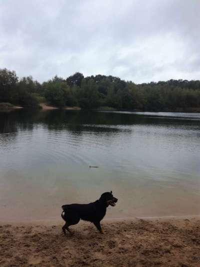 Dogorama-Monats-Challenge-Mai "Wasser"-Beitrag-Bild