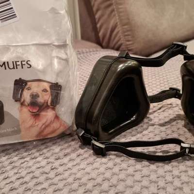 Gehörschutz von Zauberpfote-Beitrag-Bild