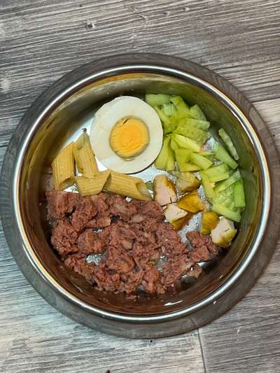 Zeigt her Eure Futternäpfe-Beitrag-Bild