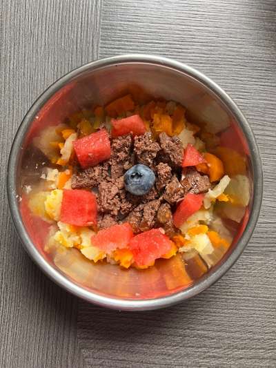 Zeigt her Eure Futternäpfe-Beitrag-Bild