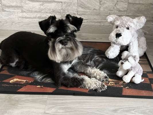 Handy-Foto-Challange Nr. 8-Beitrag-Bild