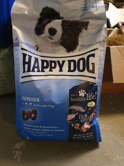 Rhodesian Ridgeback-Beitrag-Bild