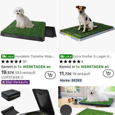 Erfahrungen mit Hundetoilette für den Notfall in Wohnung-Beitrag-Bild