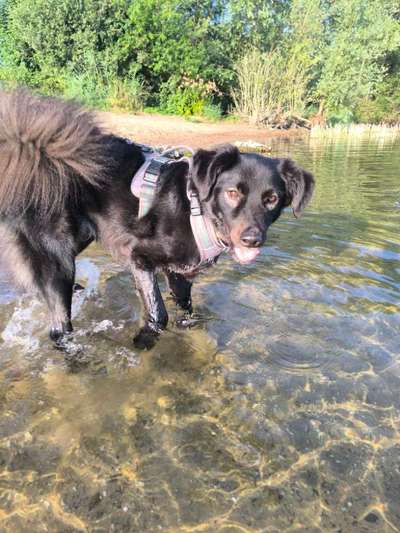 KRITIKOS LAGONIKOS-Beitrag-Bild