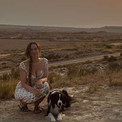 Hundetreffen-Sozialkontakte-Bild