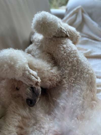 Foto Challenge Nr. 134-Beitrag-Bild