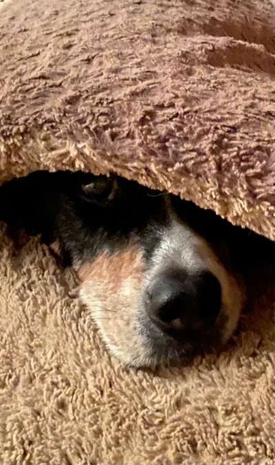 143. Fotochallenge: Ja, wo isser denn?-Beitrag-Bild