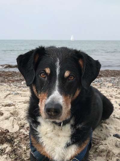 Eure schönsten Fotos mit Wasser-Beitrag-Bild