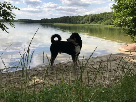 Eure schönsten Fotos mit Wasser-Beitrag-Bild