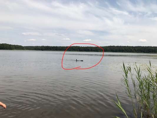 Eure schönsten Fotos mit Wasser-Beitrag-Bild