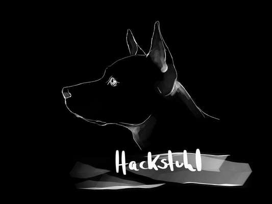 Hundeschulen-Hundeschule Hackstuhl -Bild