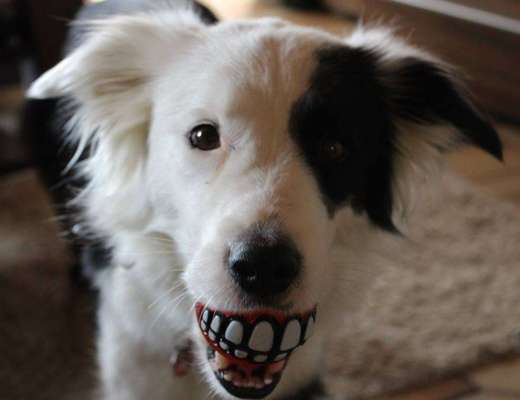 Fotochallenge Nr.122-Beitrag-Bild