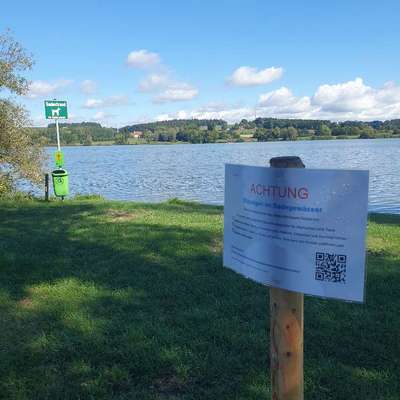 Giftköder-Vorsicht vor Blaualgen im Rottauensee-Bild