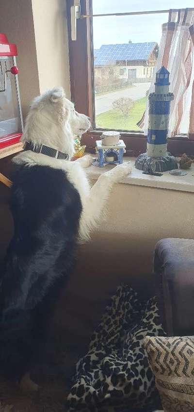 120. Fotochallenge-Beitrag-Bild