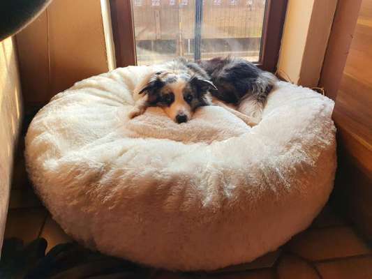 Erfahrung mit Wolkenbett-Beitrag-Bild