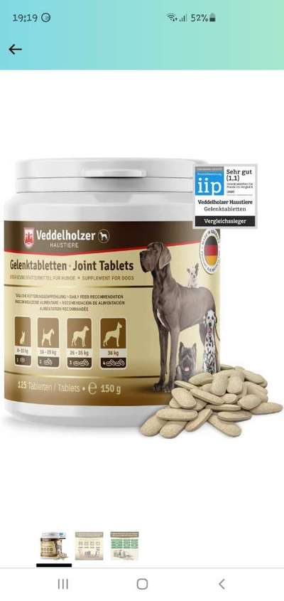 Grünlippmuschel-Beitrag-Bild