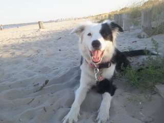 Eure Strandbilder :)-Beitrag-Bild